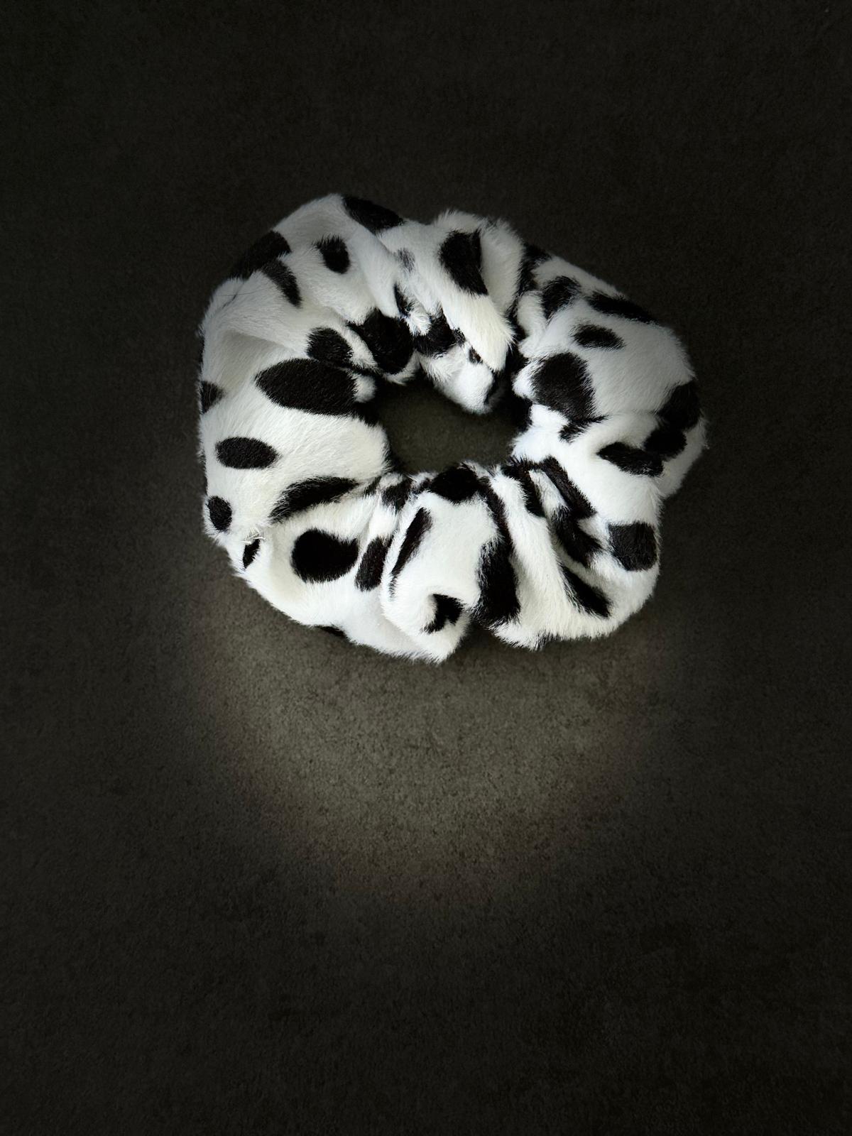 Halsband-Leinenset der exklusiven Dalmatinerkollektion