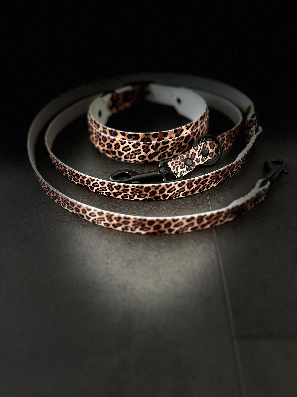 Halsband-Leinenset im Leo Look (limitierte Kollektion)