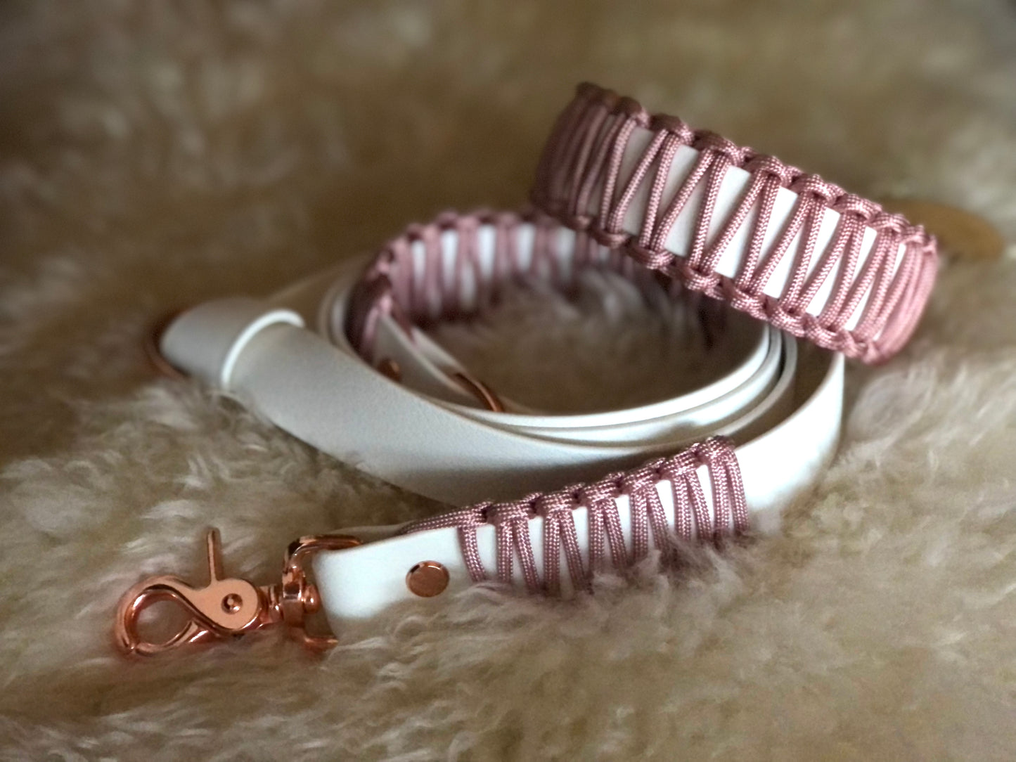 Halsband-Leinenset aus Biothane & Paracord