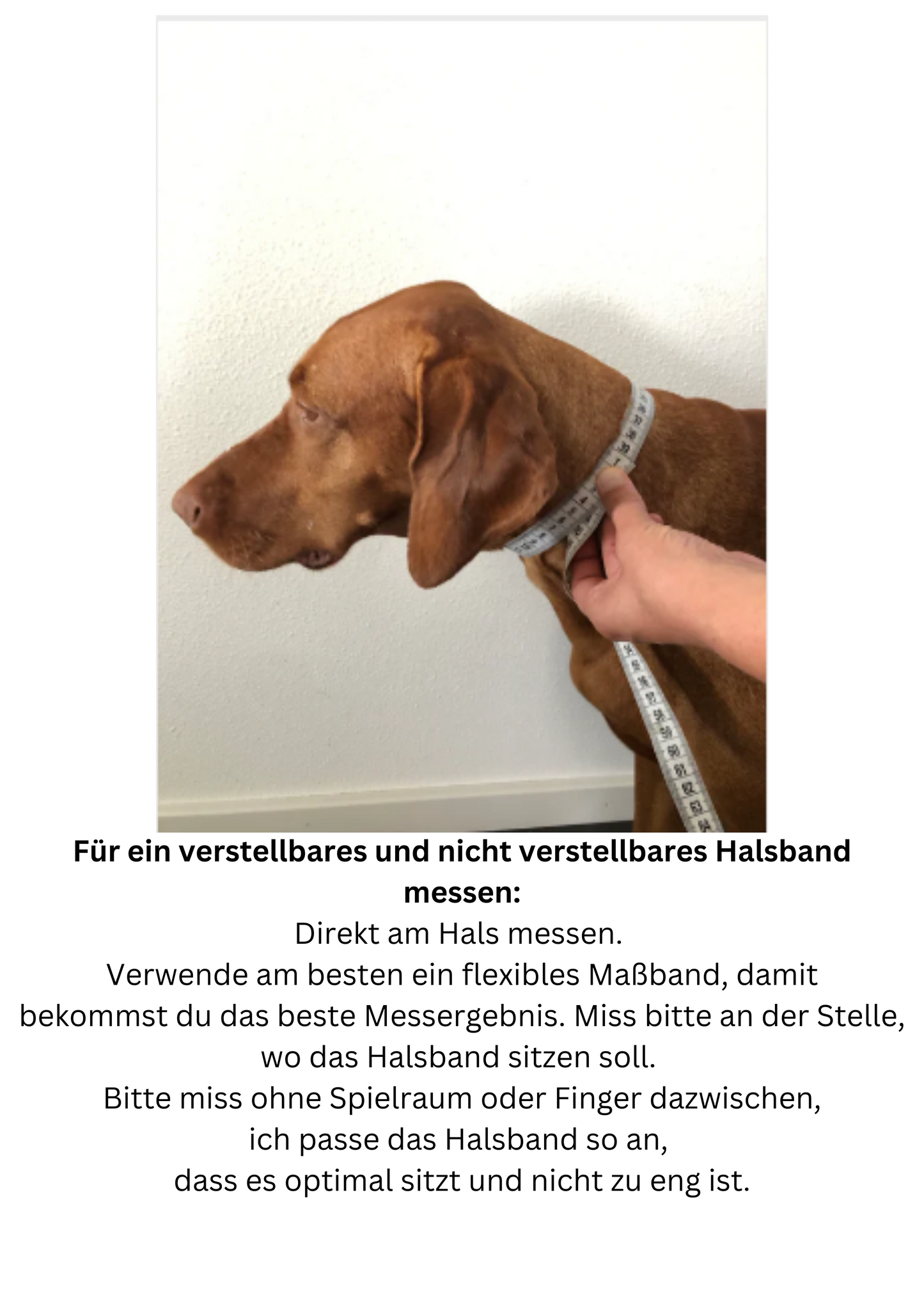 Ivy Hundehalsband und Hundeleine aus Fettleder