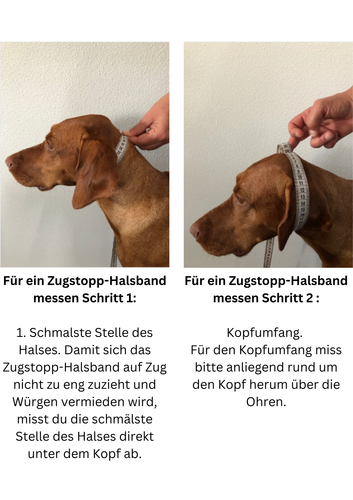 individuelle Loops für dich & deinen Hund