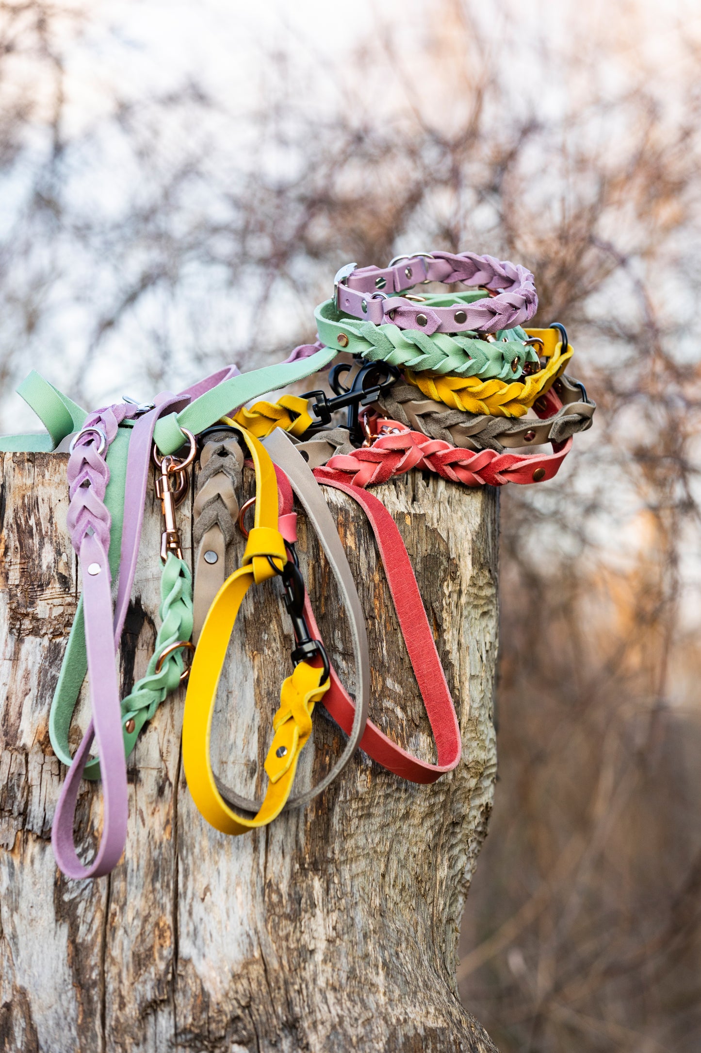 Halsband und Leinenset aus Fettleder in tollen Pastellfarben