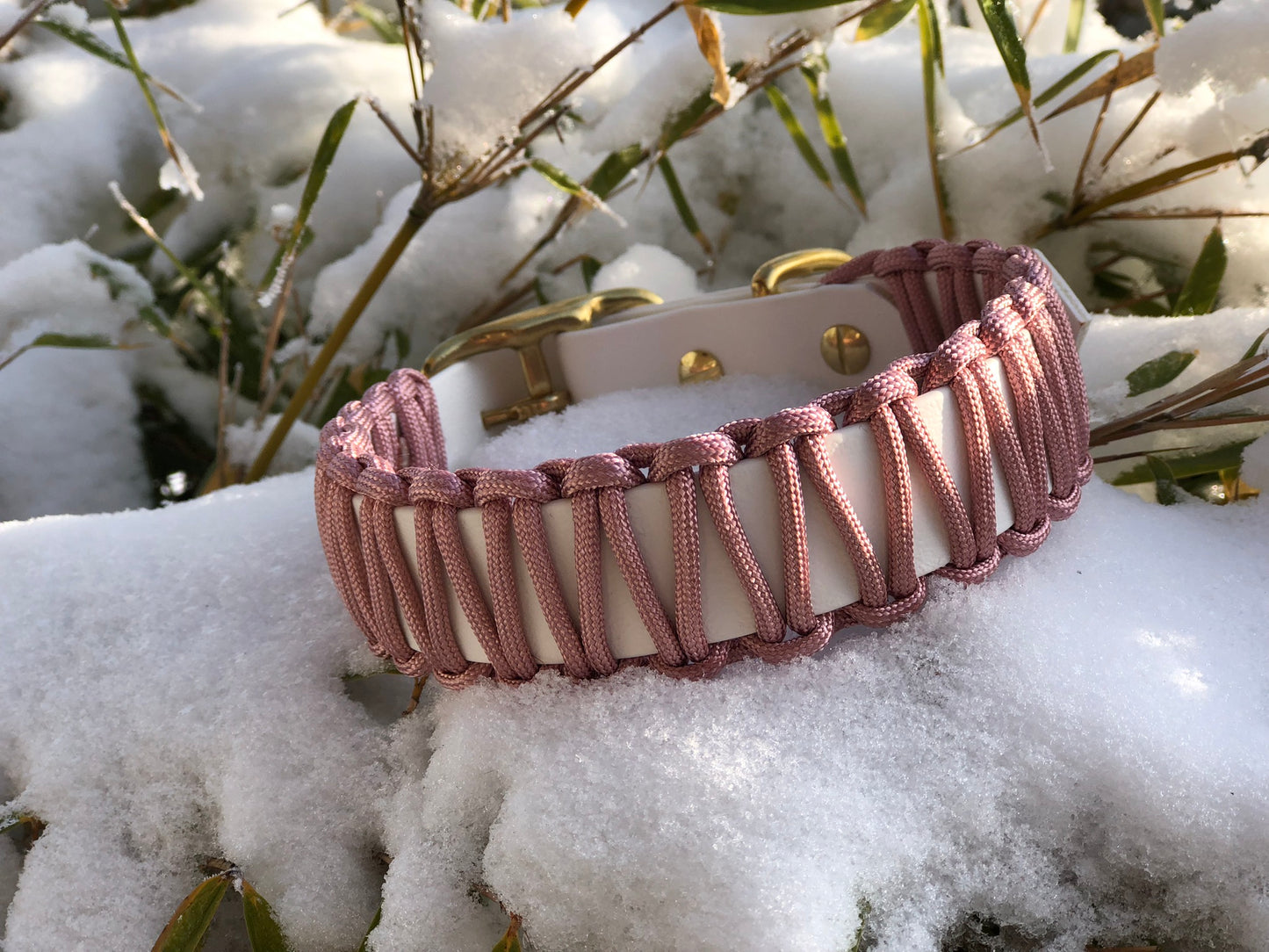 Halsband-Leinenset aus Biothane & Paracord